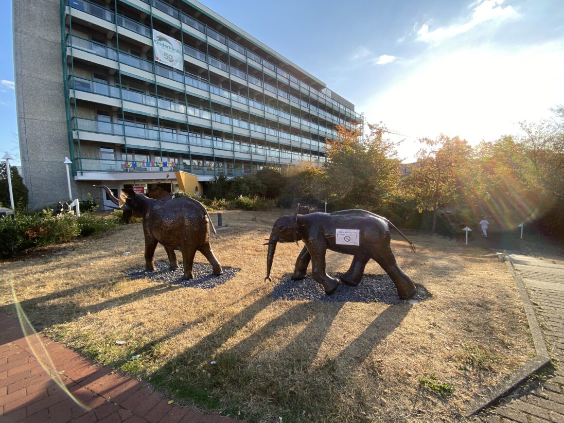 25.08.2022 Neues „Zuhause“ für unsere Tiere.
