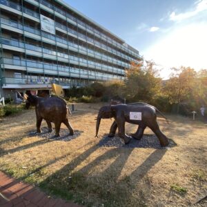 25.08.2022 Neues „Zuhause“ für unsere Tiere.