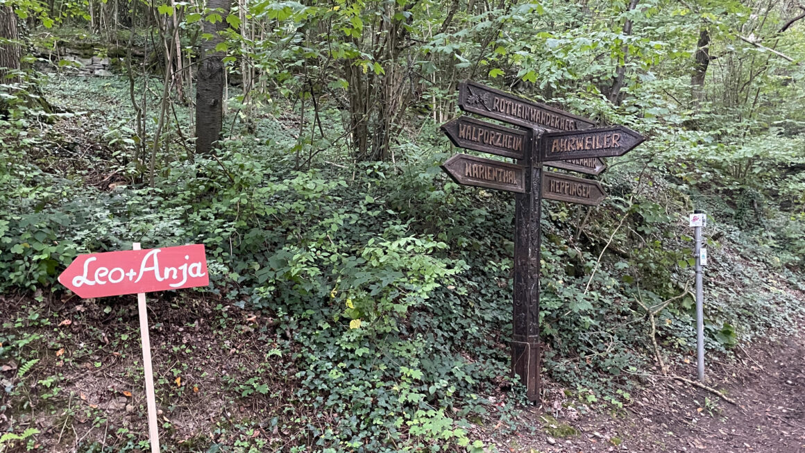 Geburtstagsgruß