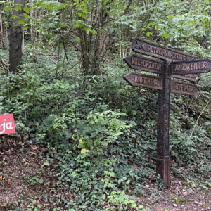 Geburtstagsgruß