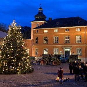 Weihnachtsbaum an der Burg Wissem