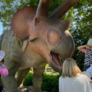 Kölner Zoobesuch