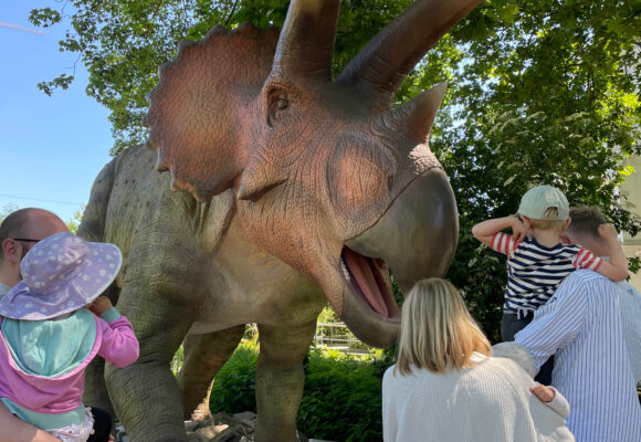 Kölner Zoobesuch