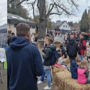 ✨ Lichterfest in Mühleip – 08.11.2025 ✨