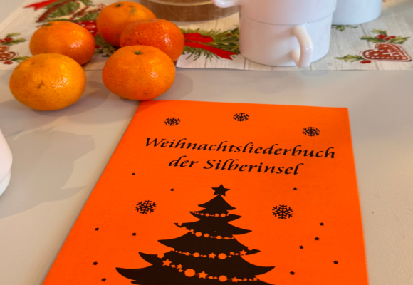 ✨ Weihnachtsfeier 2025 – ein Nachmittag voller Freude und festlicher Momente ✨
