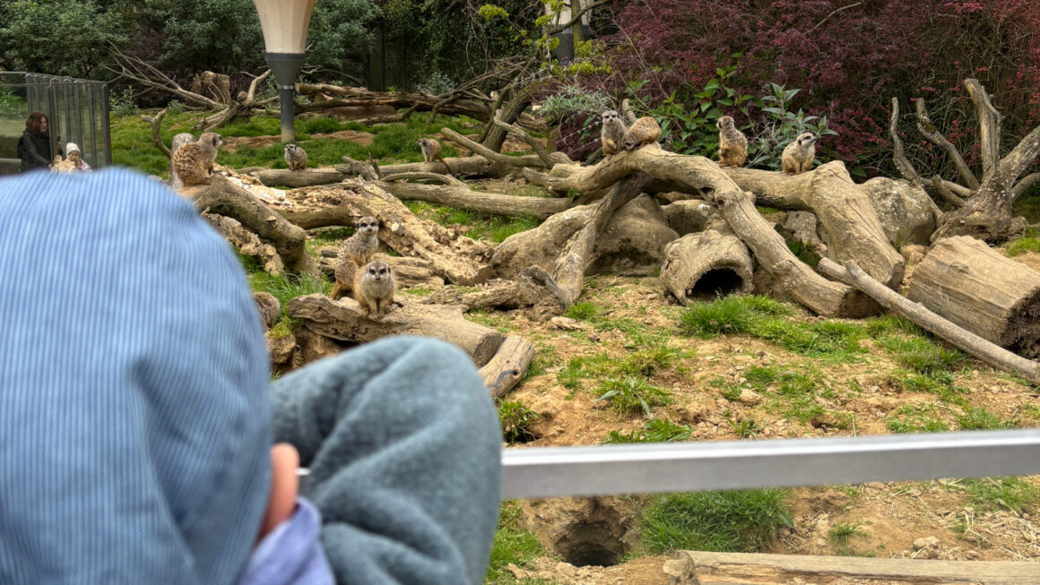 Zoo-Ausflug im April 🦁🐒🌿