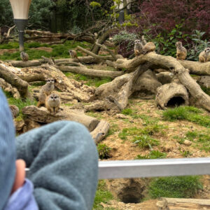 Zoo-Ausflug im April 🦁🐒🌿