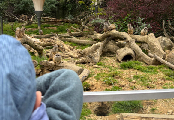 Mondorf Zoo-Ausflug im April 🦁🐒🌿